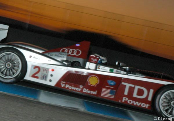 DSC_2313.jpg