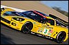 DSC_2016.jpg