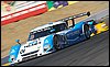 DSC_1138.jpg